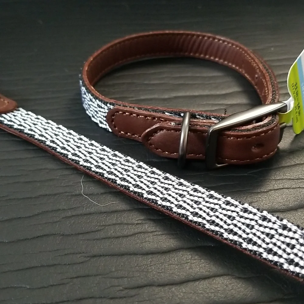 Leather small dog collar